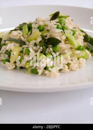 Gericht aus einfachem grünem Risotto, auf weißem Teller als leichtes Mittagessen oder Vorspeise. - Stockfoto