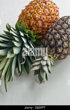 Frische Ananas auf weißer Oberfläche - Stockfoto