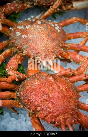 Spinnenkrabben auf frischem Fisch Stall in Whitecross Street Market, London EC1 - Stockfoto