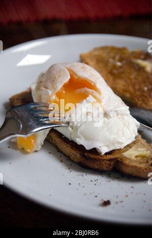 Pochiertes Ei auf Vollkorntoast auf weißem Teller, mit aufgebrochenem Eigelb - Stockfoto