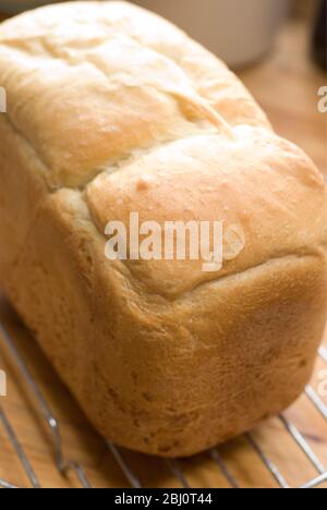 Frisch gebackenes Weißbrot Rack Kühlung auf Draht Rack - Stockfoto