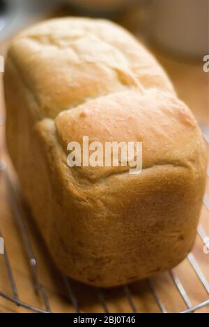 Frisch gebackenes Weißbrot Rack Kühlung auf Draht Rack - Stockfoto