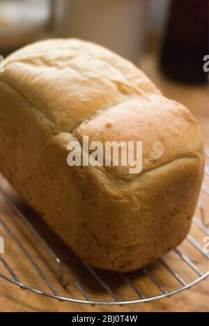 Frisch gebackenes Weißbrot Rack Kühlung auf Draht Rack - Stockfoto