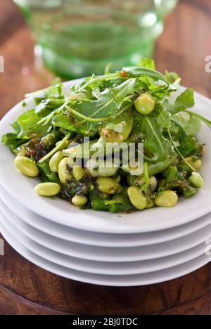 Gemischter grüner Bohnensalat mit Rucola, Koriander und Chili - Stockfoto