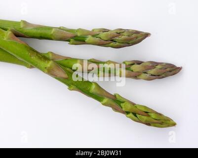 Drei Speere frisch gepflückten grünen Spargels, auf weißem Hintergrund - Stockfoto