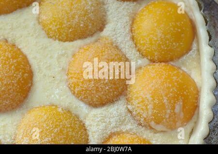 Herstellung Pfirsichtart mit halbierten Pfirsichen und Creme Patissiere auf Blätterteig in Metalldose, bestreut mit Gießzucker und gemahlenen Mandeln. - Stockfoto