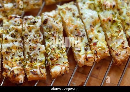 Frisch gebackene Käseherme, die auf dem Gestell gekühlt werden, mit geriebener Zucchini und geriebenem emmentaler auf Blätterteigblech gestreut und mit Hanfsamen bestreut Stockfoto