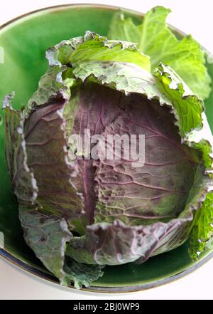 Grüner und violetter Kohl in grüner Schüssel - Stockfoto