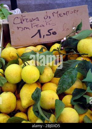 Stapel von Zitronen frisch vom Baum mit Blättern und Blüten zum Verkauf in der Markthalle in Menton, Südfrankreich - Stockfoto