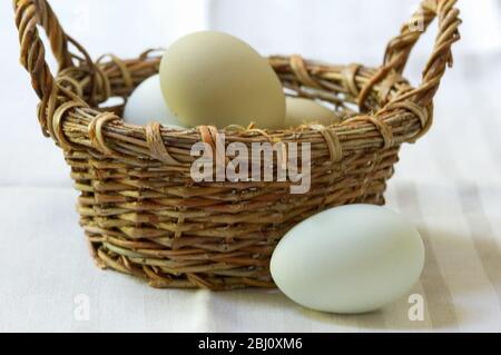 Eier aus Freilandhaltung - benannte Sorten - Stockfoto