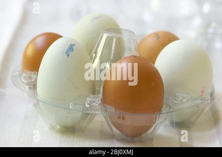 Eier aus Freilandhaltung - benannte Sorten - Stockfoto