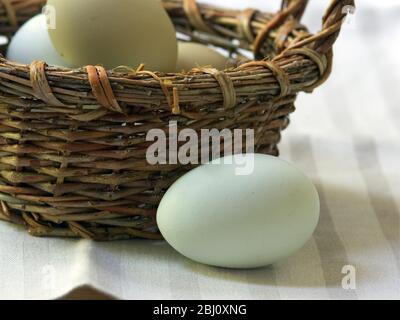 Eier aus Freilandhaltung - benannte Sorten - Stockfoto