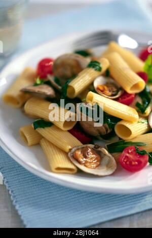 Pasta-Gericht von Rigatoni Pasta Rohr Formen mit Muscheln und Kirschtomaten - Stockfoto