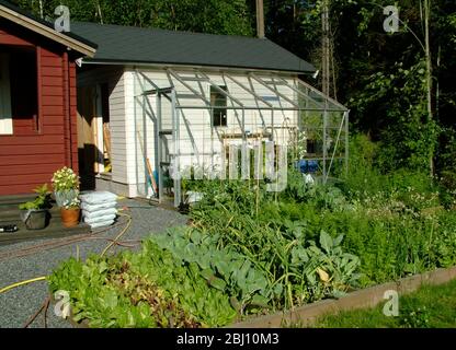 Kleines Gemüsegrundstück im Garten des schwedischen Sommerhauses - Stockfoto