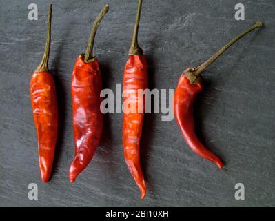 Drei halbgetrocknete, scharfe, rote Chilischoten auf grauem Schiefer - Stockfoto
