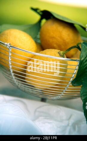 Große Zitronen frisch vom Baum, komplett mit Blättern in Metall-Obstkorb outsinde in Frankreich - Stockfoto