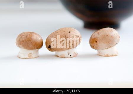 Champignons mit Crimini-Knopf - Stockfoto