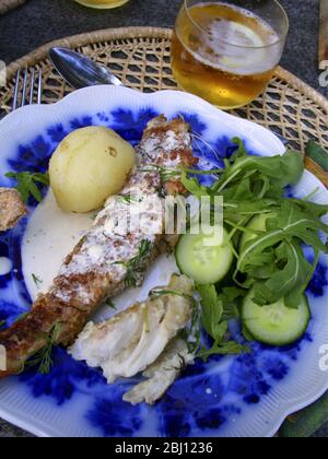 Sommerabendessen Abendessen mit frisch gefangenem Süßwasserfisch, Hecht und Barsch. Serviert im Freien mit einer Gurke und Rucola Salat und einfach gekochte Kartoffeln, a Stockfoto