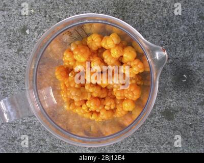 Die Moltebeere, Rubus chamaemorus L., Rosaceae, ist eine kleine krautige Bramble, die in den Torfmooren der nördlichen Hemisphäre verbreitet ist. Die Beere hat eine starke m Stockfoto