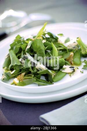 Salat von Brunnenkresse, Brokkoli. stilton - Stockfoto