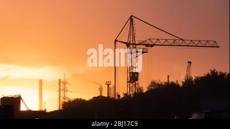 Pflanze bei Sonnenaufgang, industrieller Hintergrund Stockfoto