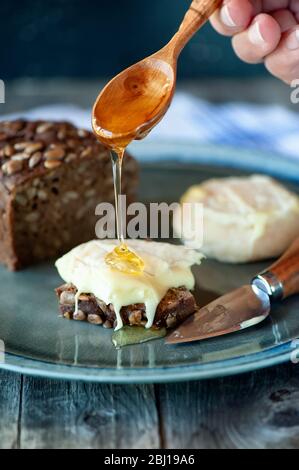 Sehr schmackhaft Weißweicher Rundkäse mit Schimmel mit Honig und Craft-Brot. Honig gießt auf ein Käsesandwich. Selektiver Fokus. Stockfoto