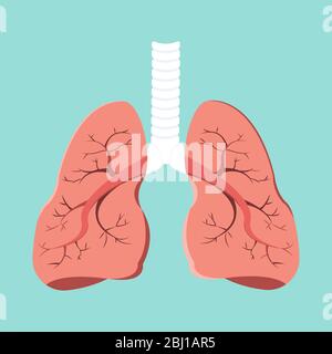 Innere Organe des menschlichen Gestaltungselements. Realistische Lung Anatomie isoliert auf grünem Hintergrund. Konzept der Gesundheitsmedizin. Stock Vektor