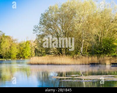 Ein sonniger Frühlingsmorgen im Coate Water in Swindon. Stockfoto