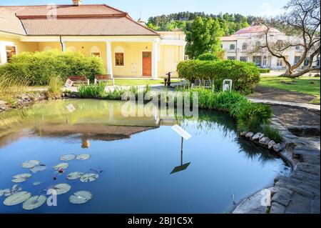 Wasserteich mit Pflanzen und Victoria Regia Seerose, historisches Gebäude im Hintergrund auf der Kurinsel in Piestany (SLOWAKEI) Stockfoto