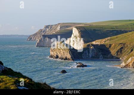 Die Küste an der St.Oswalds Bay mit Blick auf Durdle Door an der Jurassic Coast in Lulworth Dorset England Stockfoto