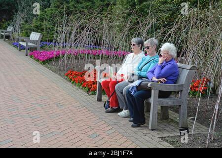 Drei ältere Damen entspannen und sitzen auf einer Holzbank in den Gärten der Royal Horticultural Society in Wisley Surrey England Stockfoto