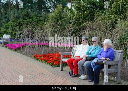 Drei ältere Damen entspannen und sitzen auf einer Holzbank in den Gärten der Royal Horticultural Society in Wisley Surrey England Stockfoto