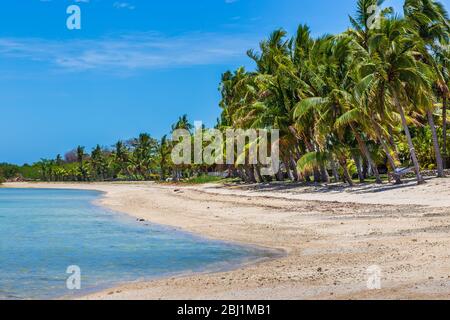 Nalamu Beach, von Palmen umgeben, unter blauem Himmel, Fidschi. Stockfoto