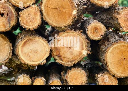 Brennholz logs. Stockfoto