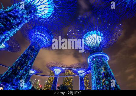 Beleuchtete super Olivenhainen an der Bucht Vorgärten auch wie die Gärten an den Bay bekannt bei Nacht, Bay Front, Marina Bay, Singapore, PRADEEP SUBRAMANIAN Stockfoto