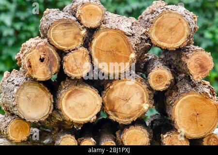 Brennholz logs. Stockfoto