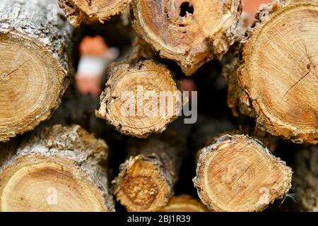 Brennholz logs. Stockfoto