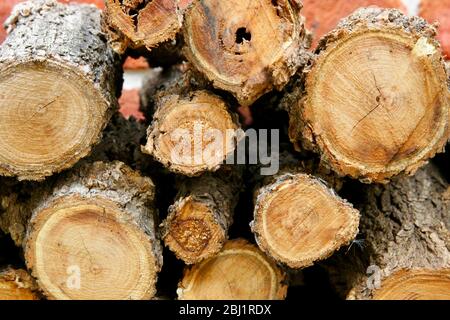 Brennholz logs. Stockfoto