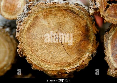 Brennholz logs. Stockfoto