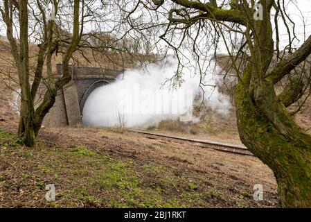 Eine Wolke aus Strom aus einem restaurierten Dampfzug fließt aus einem Tunnel auf der wiedereröffneten Gloucestershire Warwickshire Railway. Stockfoto