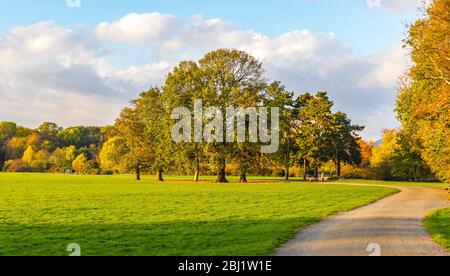 Rosenthal Waldpark in Leipzig, Sachsen, Deutschland. Nördlich des historischen Stadtzentrums gelegen, ist Rosenthal Teil des Naturschutzgebietes L Stockfoto