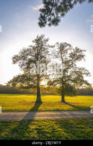 Rosenthal Waldpark in Leipzig, Sachsen, Deutschland. Nördlich des historischen Stadtzentrums gelegen, ist Rosenthal Teil des Naturschutzgebietes L Stockfoto