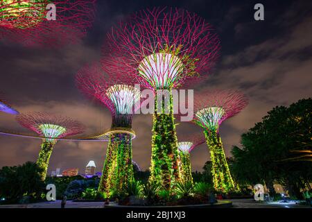 Beleuchtete super Olivenhainen an der Bucht Vorgärten auch wie die Gärten an den Bay bekannt bei Nacht, Bay Front, Marina Bay, Singapore, PRADEEP SUBRAMANIAN Stockfoto