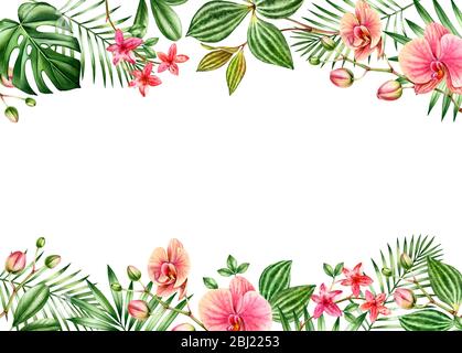 Aquarell floralen Hintergrund. Horizontaler Rahmen mit Platz für Text. Blumenbordüren oben und unten. Rote Orchideenblüten und Palme, Monstera Blätter Stockfoto