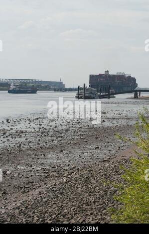 Elbe in Hamburg, Niedrigwasser , Flussbett trocken aus, am 27. April 2020 Stockfoto