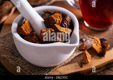 Chaga-Pilzstücke in einem Mörser und Stößel mit Tee. Stockfoto