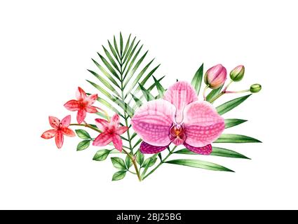 Aquarell Orchidee Bouquet. Blumenarrangement mit roten und rosa Blüten und Kokosnusspalmenblättern. Bunte exotische Pflanzen auf Weiß isoliert. Botanisch Stockfoto