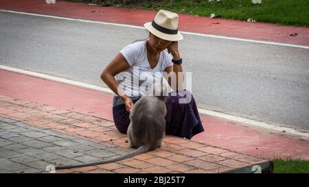 Thai Frau in Sarong und weißen Fedora sitzt auf Bordstein Blick auf Duskey Affe in Khoa Lommuak Thailand Stockfoto