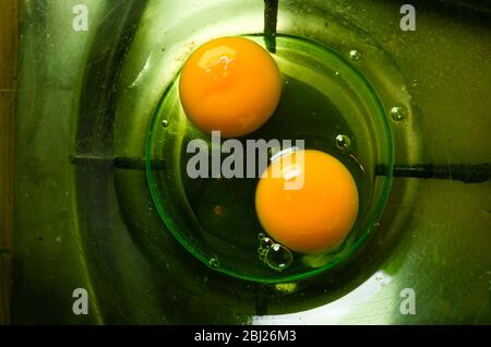 MXing Eier mit Zucker, Mehl und Butter zum Backen eines Kuchens Stockfoto