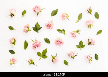 Florales Muster aus rosa Rosen. Flach liegend, Draufsicht Stockfoto
